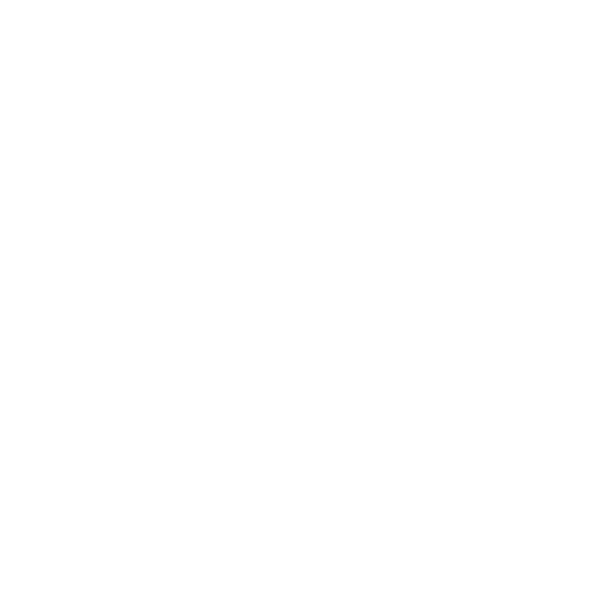 X icon white