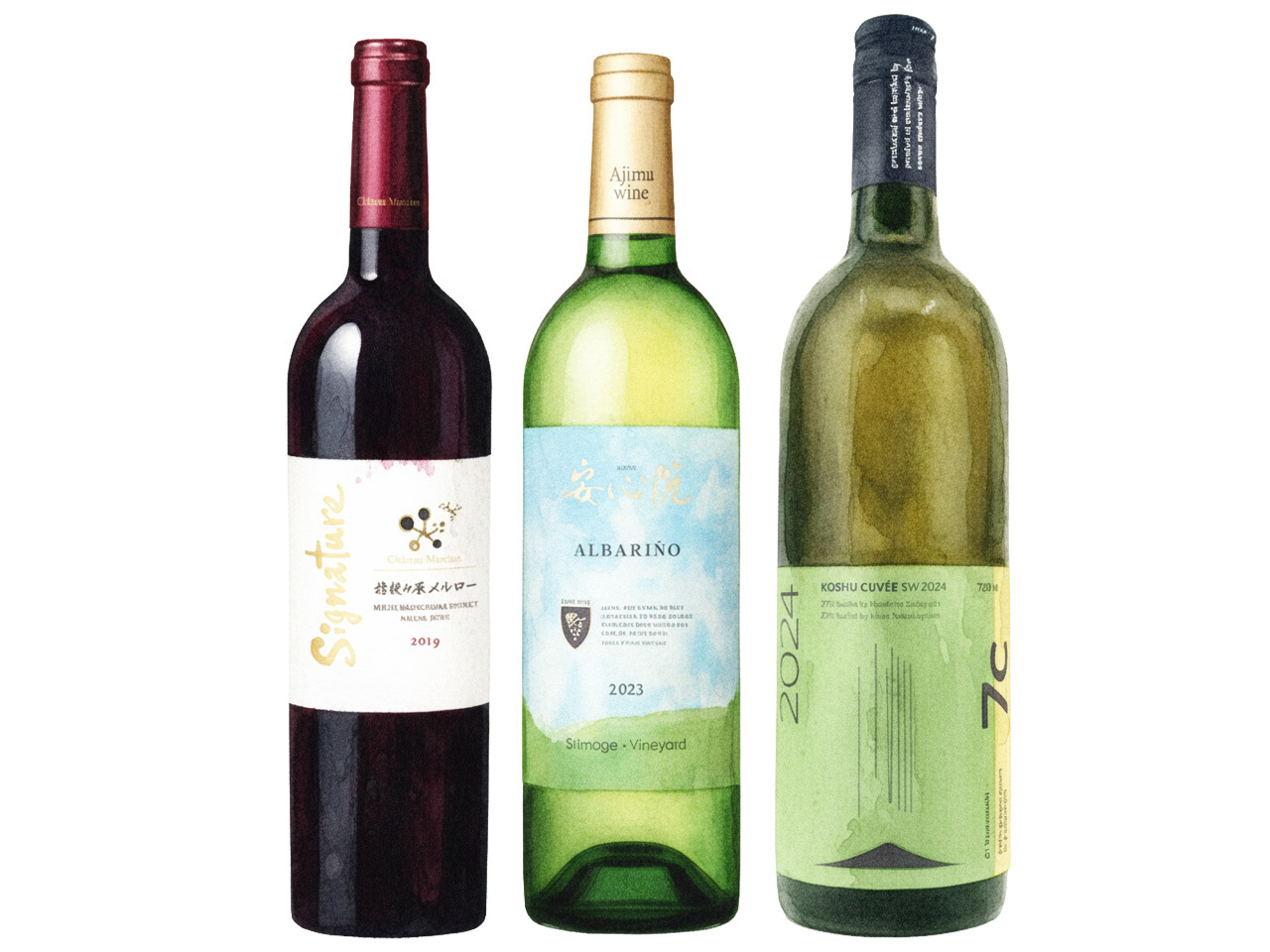 「シャトー・メルシャン 桔梗ヶ原メルロー シグナチャー」、「安心院ワイン アルバリーニョ 下毛」、「甲州キュヴェ SW 2024」のイラスト