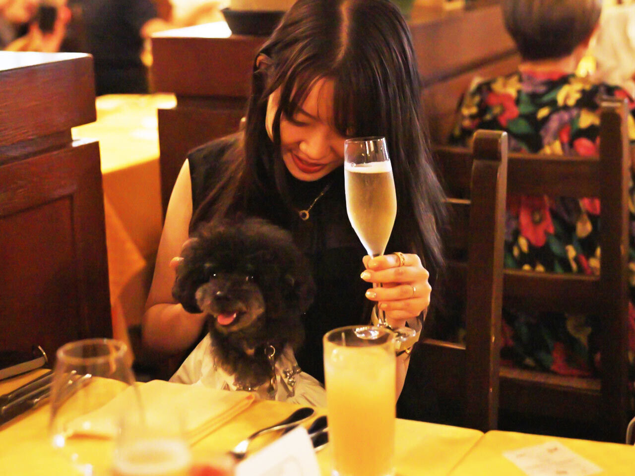「Dog Lunch Party」の様子