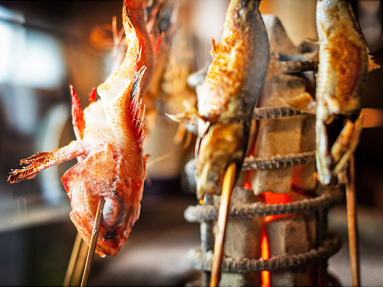 桜木町『炭焼酒場 炉ジ裏』の旬魚の原始焼き