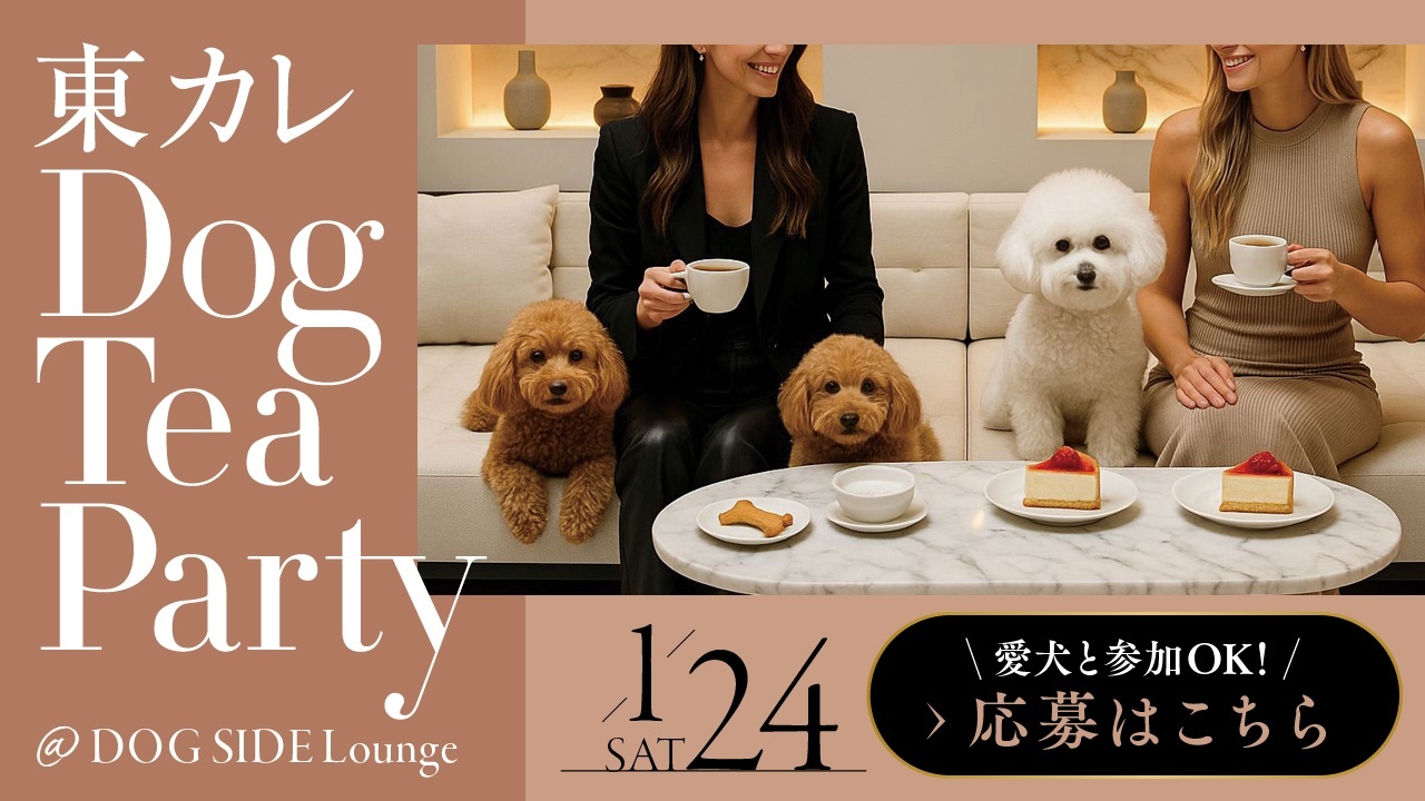 E4954c866ea7f1ba97312573783d98