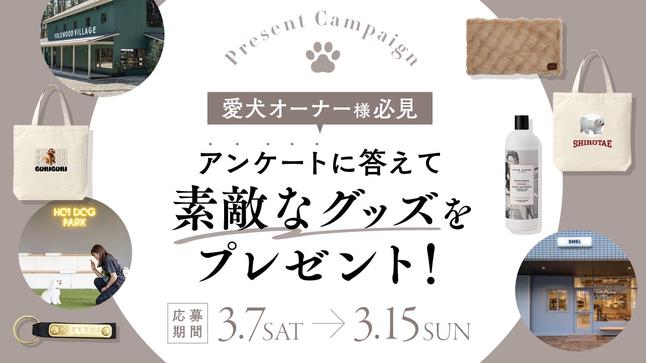 【読者プレゼントキャンペーン】愛犬オーナー様必見！アンケートに答えて素敵な賞品をGETしよう！【3月15日（日）まで】