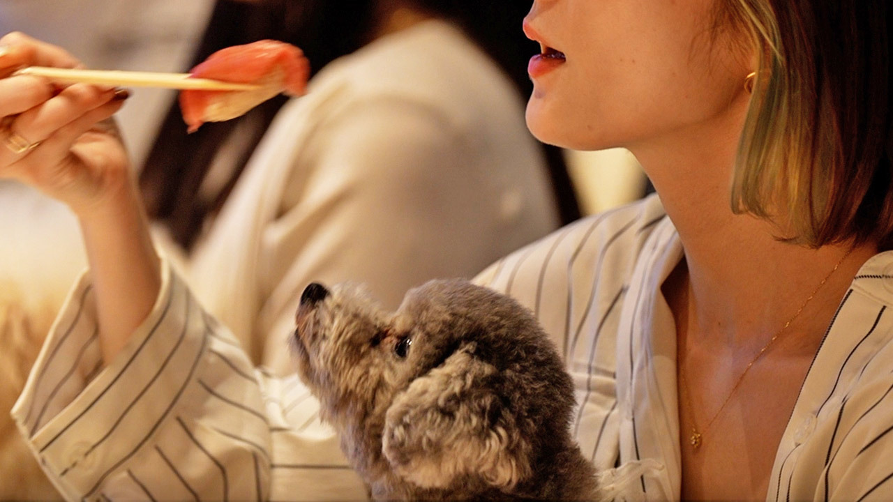 愛犬と愉しむ、特別な鮨時間。『東カレ DOG 鮨会』レポート！