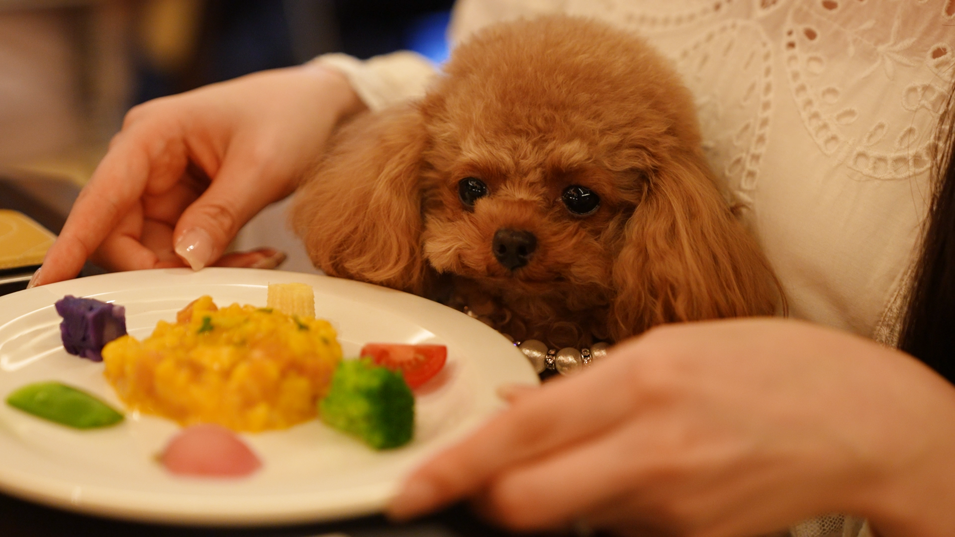 愛犬家たちが集う特別なひととき。大好評の『東カレDog Lunch Party』を徹底レポート！