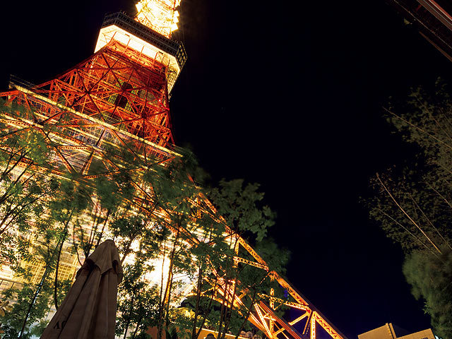 夏の東京タワーも妖艶で美しい 大迫力のタワービューテラス3選 2 2 東京カレンダー