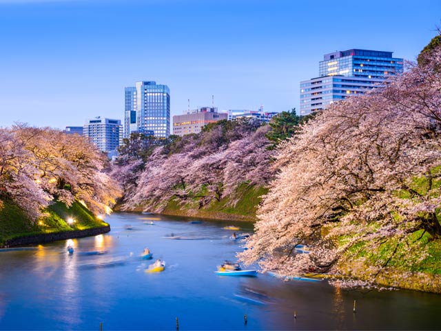 今年も開催 お花見にも持参できる ザ ペニンシュラ の 桜 メニューが熱い 東京カレンダー