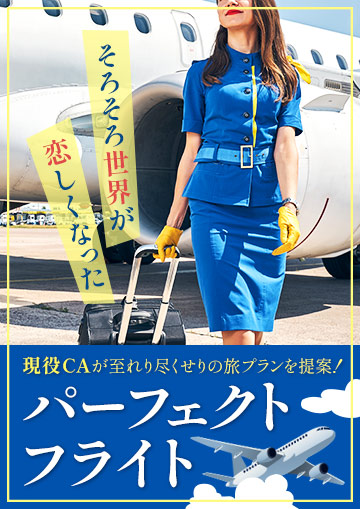 パーフェクトフライト